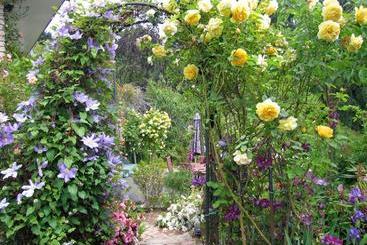 Mcauley Glen Boutique B&b