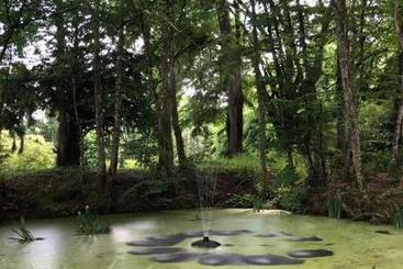 تختخواب و صبحانه Château De La Gauderie