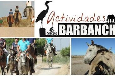 Apartamento Barbancho