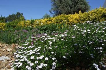 پانسیون Quinta Do Cano