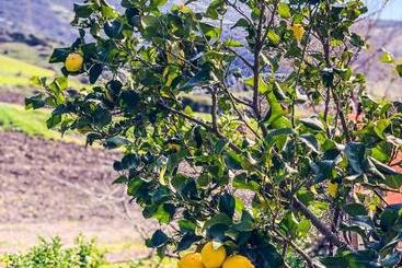 هتل Agriturismo Sa Tanca Noa