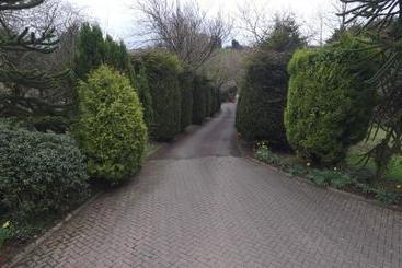 پانسیون Pinewood Lodge Guest House