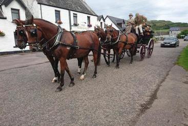 هاستل The Horseshoe Inn