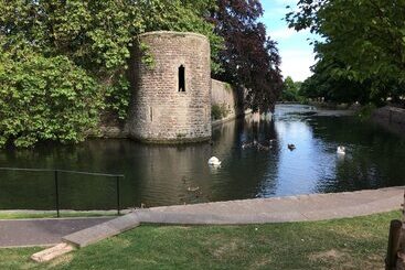 ペンション Great Ashley Farm Bed And Breakfast & Shepherds Huts