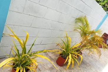 هاستل Presidents Inn Trinidad