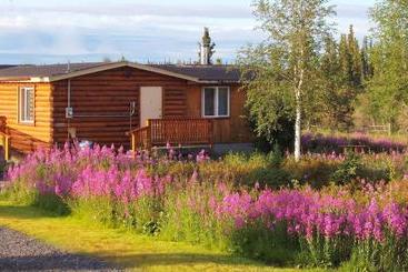 پانسیون Arctic Chalet Resort