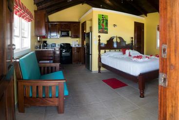 پانسیون Inn At White Horse Guest House