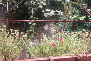 پانسیون Julija Guest House