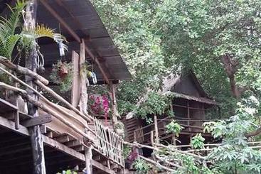 هاستل Tree Lodge Banlung