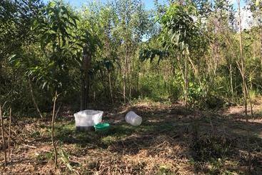 پانسیون Ayahuaska Backpackers House  Casa Completa En Alquiler