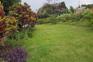 پانسیون Pineapple Guest House Entebbe