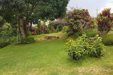 پانسیون Pineapple Guest House Entebbe