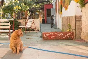 پانسیون Guest House Mielaloe