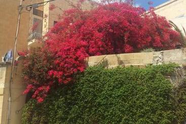 پانسیون Katalina House