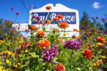 Отель Bay Breeze Resort
