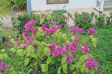 هاستل Mom S Kitchen In The Village