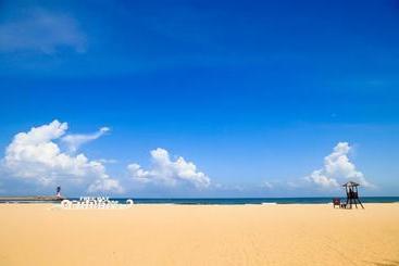Ocean Holiday