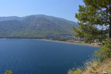 Erasmus Apart