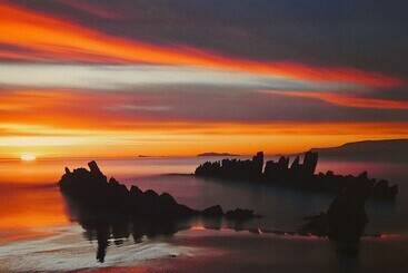 پانسیون Puffin Palace Guesthouse