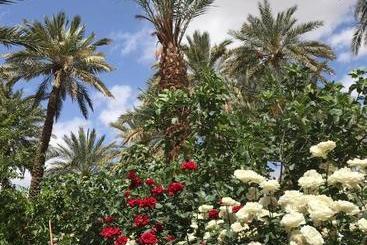 پانسیون Riad Tabhirte