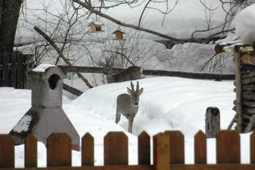 هتل Farm Košir