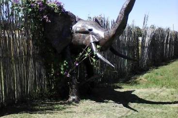 پانسیون Elephant Lodge Guesthouse