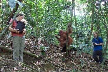 پانسیون Ida Guest House & Jungle Trekking
