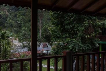 پانسیون Rain Forest Guest House
