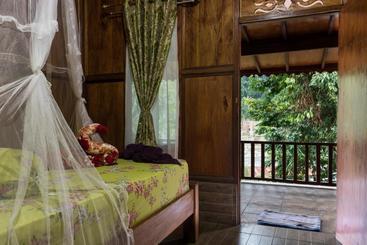 پانسیون Rain Forest Guest House