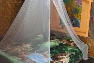 پانسیون Rain Forest Guest House