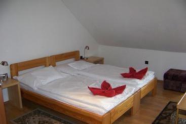 پانسیون Alpesi Apartman Downtown