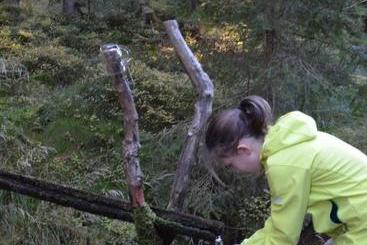 هاستل Wildwiesenhof
