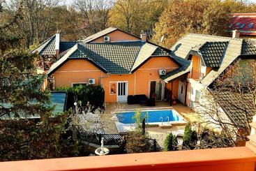 پانسیون Guesthouse Villa Elizabet
