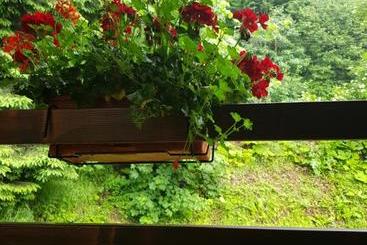 膳宿费 Timis Valley, Casa Eni&dan