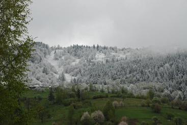 پانسیون Kraevyd