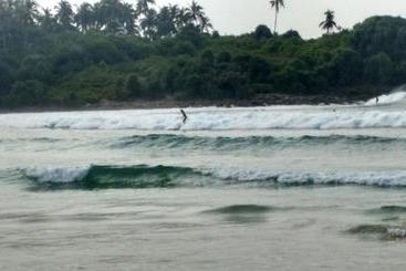 تختخواب و صبحانه Blue Beach Paradise
