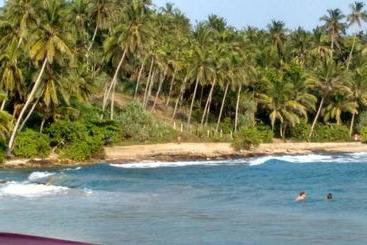تختخواب و صبحانه Blue Beach Paradise