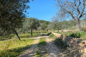 Villa Can Ameler