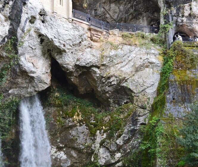 Arcea Gran Hotel Pelayo