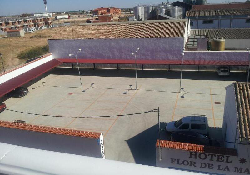 هتل Flor De La Mancha