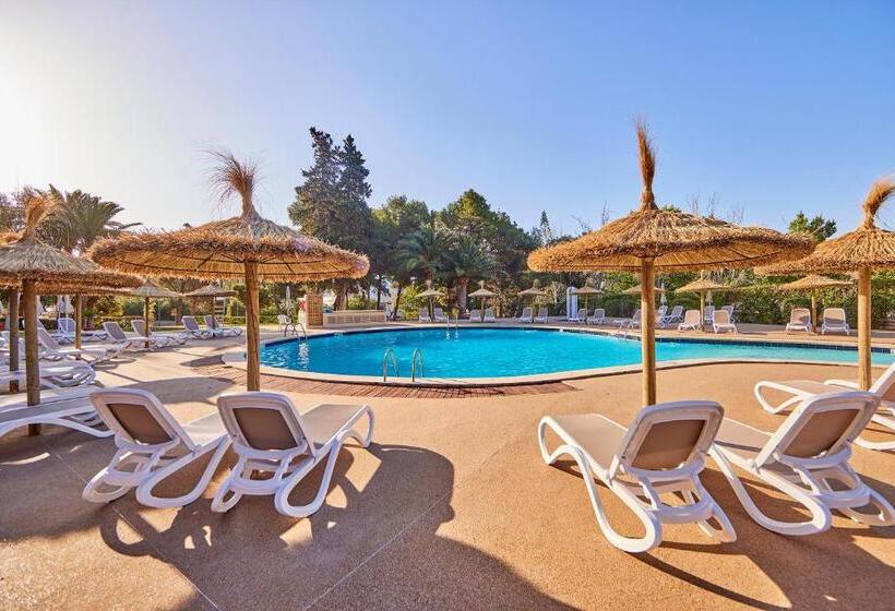 בית מלון כפרי tent Palmanova