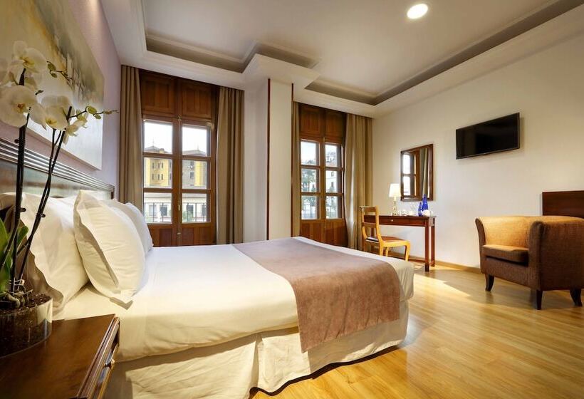 هتل Exe Triunfo Granada