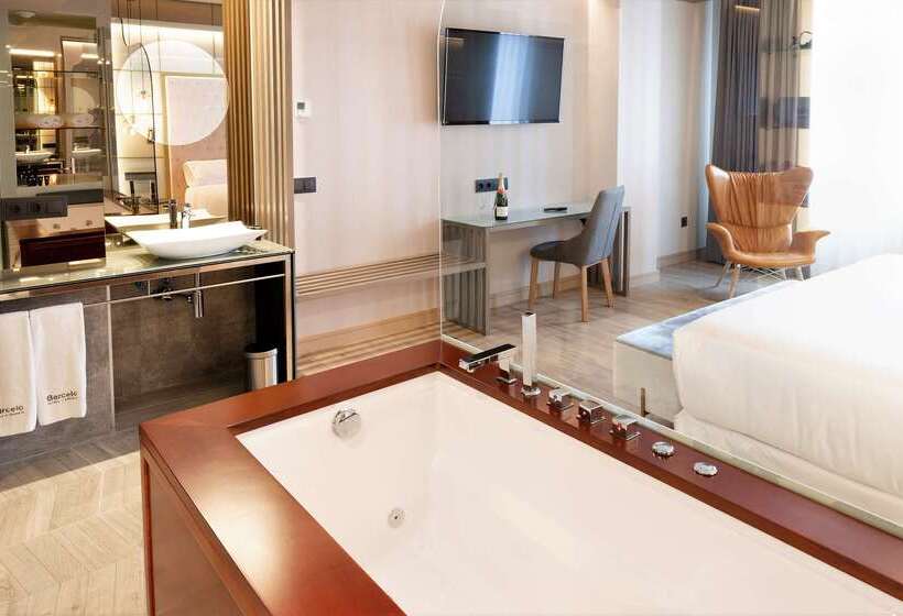 هتل Barcelo Ourense