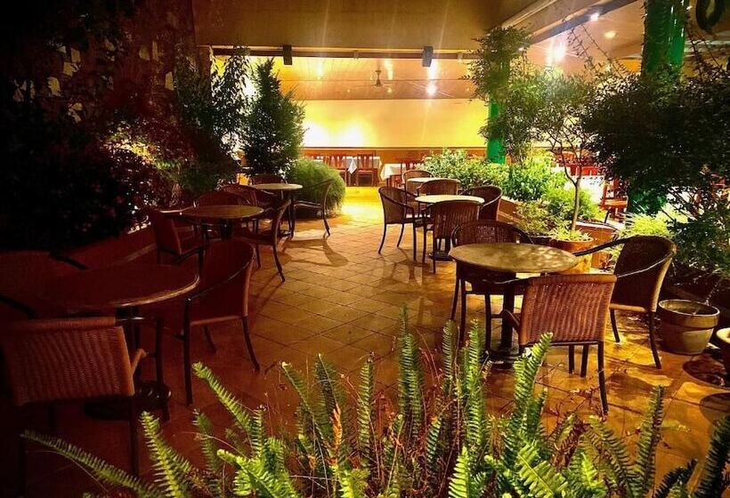 Hostal Rom Familiar