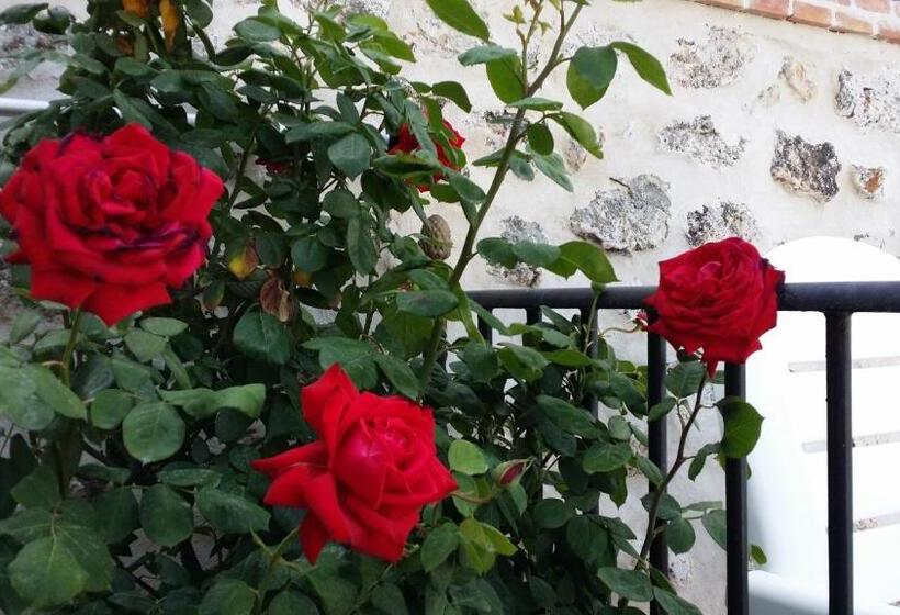هتل Hostal Chinchon