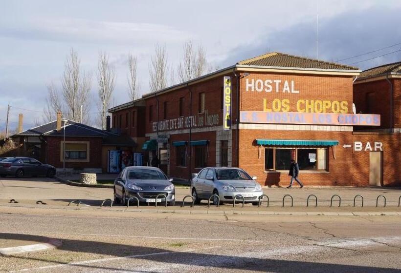 Отель Hostal Los Chopos