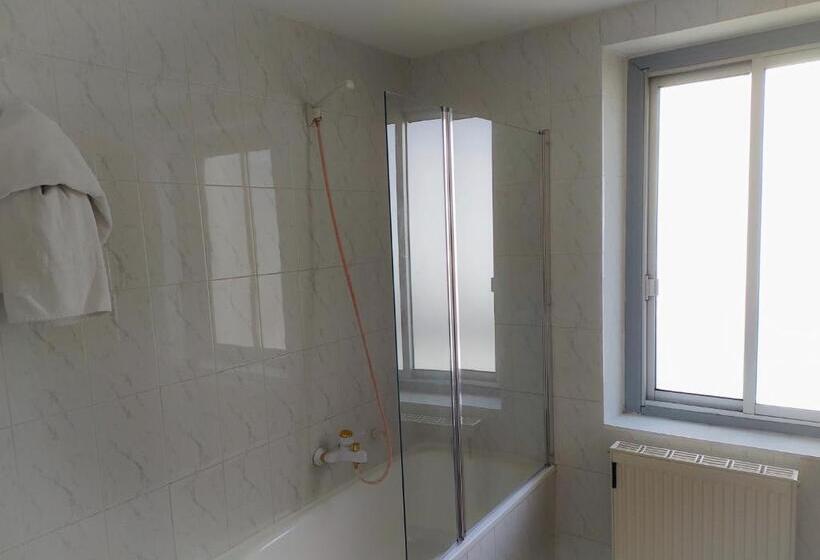 בית מלון כפרי Hostal Pirineos Meliz