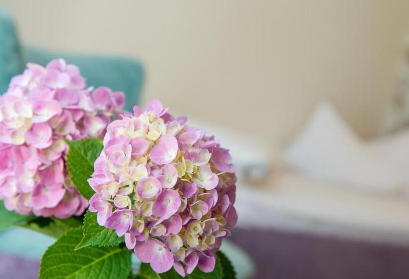 Dermuth Hotels – Hotel Dermuth Pörtschach