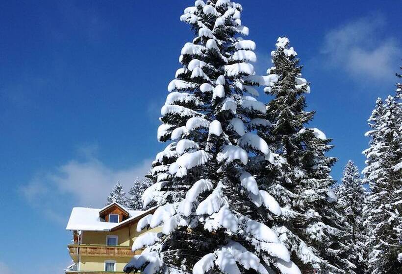 ホテル Liebesnesterl Bergwirt   Boutique