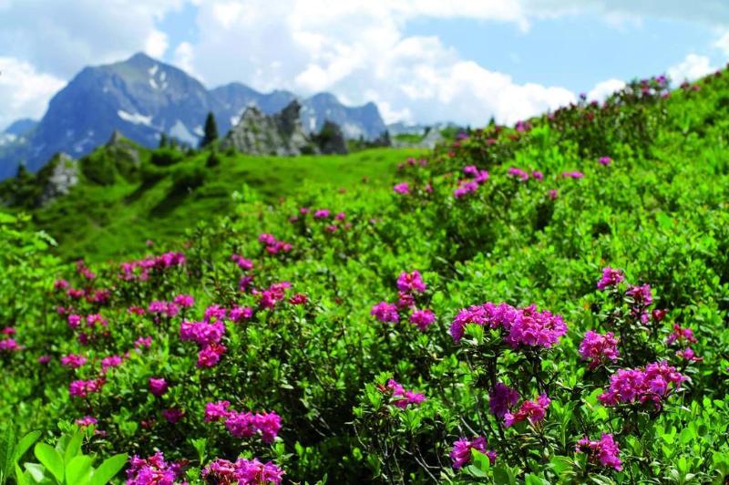 هتل Tannbergerhof Im Zentrum Von Lech